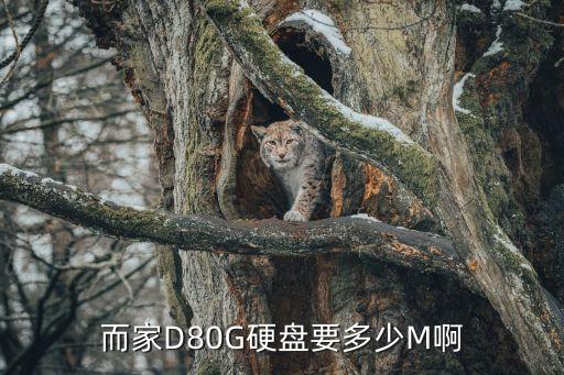 而家，我在肇慶市買了一房而家我在廣州市買房算是二套嗎