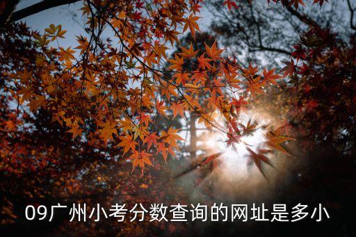 廣州黃岡實驗小學插班生考試成績，2016年考廣州黃岡小學語數英要幾分