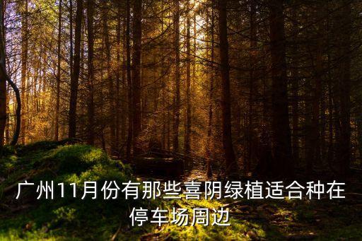 廣州11月份有那些喜陰綠植適合種在停車場周邊