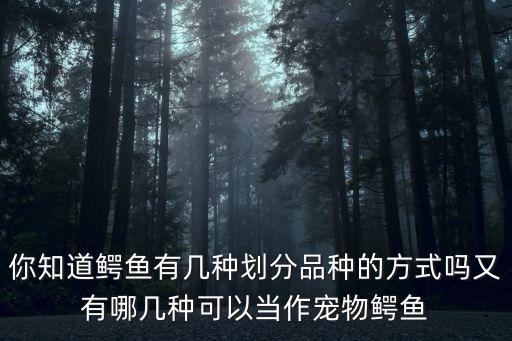 你知道鱷魚有幾種劃分品種的方式嗎又有哪幾種可以當作寵物鱷魚