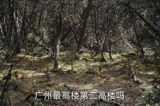 廣州西塔火災最新消息，廣州國際金融中心