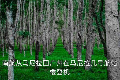 南航從馬尼拉回廣州在馬尼拉幾號航站樓登機