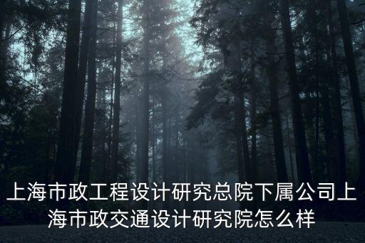 上海市政工程設計研究總院下屬公司上海市政交通設計研究院怎么樣