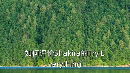 如何評價Shakira的Try Everything