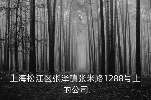 上海松江區(qū)張澤鎮(zhèn)張米路1288號(hào)上的公司