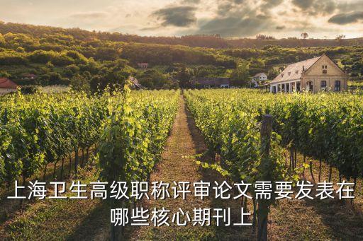 上海衛生高級職稱評審論文需要發表在哪些核心期刊上