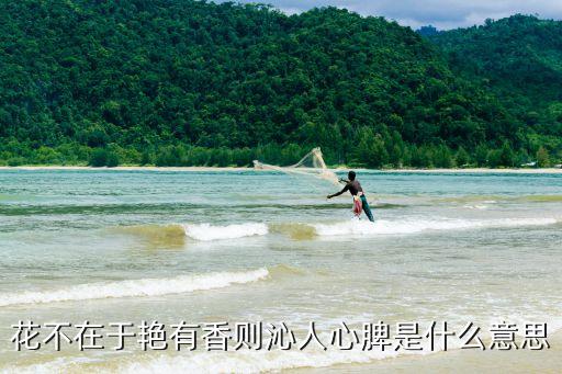 花不在于艷有香則沁人心脾是什么意思