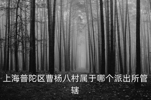 上海普陀區曹楊八村屬于哪個派出所管轄