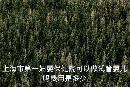 上海市第一婦嬰保健院可以做試管嬰兒嗎費用是多少