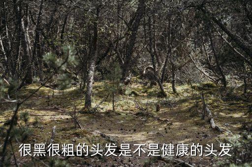 很黑很粗的頭發(fā)是不是健康的頭發(fā)