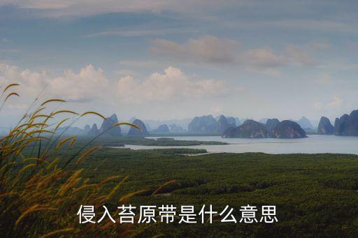 侵入苔原帶是什么意思