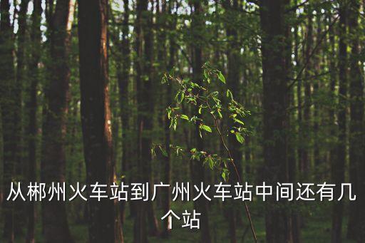 郴州站到廣州站有幾個站，從郴州火車站到廣州火車站中間還有幾個站
