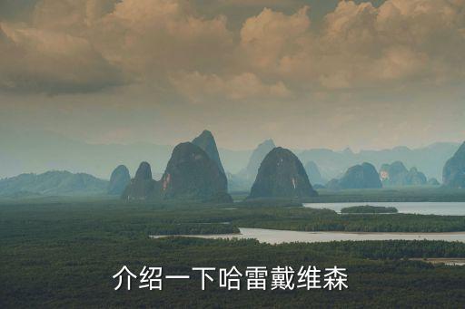 介紹一下哈雷戴維森