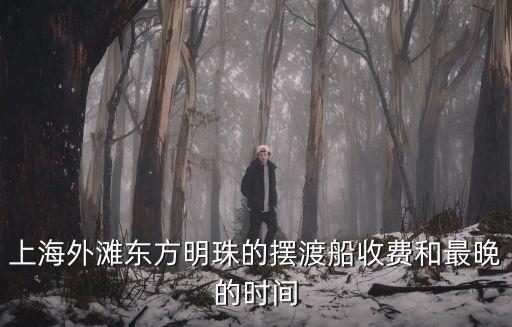 上海市南外灘東家渡項(xiàng)目，上海外灘東方明珠的擺渡船收費(fèi)和最晚的時(shí)間
