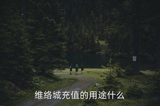 上海市青年公示，維絡城充值的用途什么