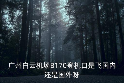 廣州白云機場是什么入境口岸，廣州白云機場B170登機口是飛國內還是國外呀