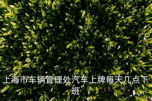 上海市新車上牌有幾個(gè)點(diǎn)，上海新車到哪上牌