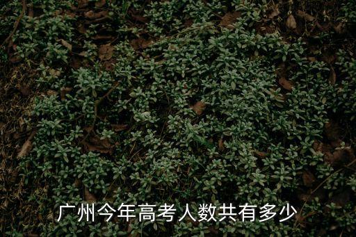 廣州今年高考人數共有多少