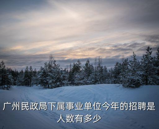 去年廣州民政局入戶人數，廣州市民政局