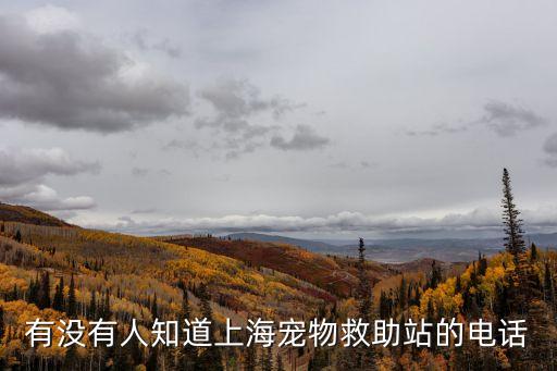 有沒有人知道上海寵物救助站的電話