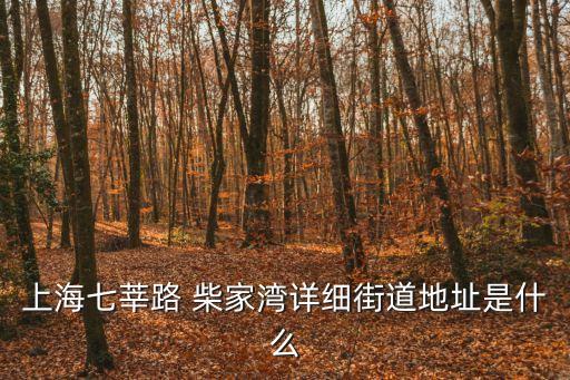 上海七莘路 柴家灣詳細街道地址是什么