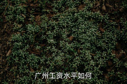 丹華水利 廣州 待遇怎么樣，廣州市自來水公司的待遇如何