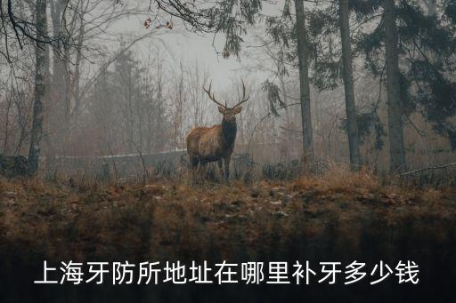 上海牙防所地址在哪里補牙多少錢