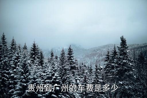 貴州到廣州的車費是多少
