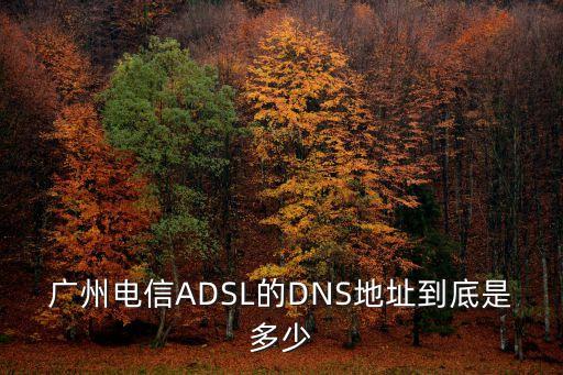 廣東廣州電信dns地址，請問廣州市蘿崗區電信DNS服務器地址是