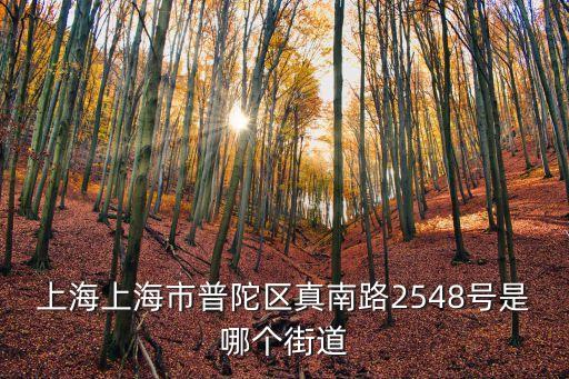 上海上海市普陀區真南路2548號是哪個街道