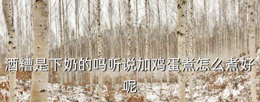 酒糟是下奶的嗎聽說加雞蛋煮怎么煮好呢