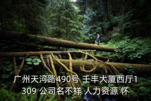 廣州天河路490號 壬豐大廈西廳1309 公司名不祥 人力資源 懷
