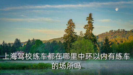 上海市體育運動學校有駕校嗎，上海駕校練車都在哪里中環以內有練車的場所嗎