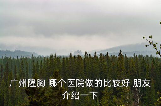 廣州隆胸 哪個醫院做的比較好 朋友介紹一下
