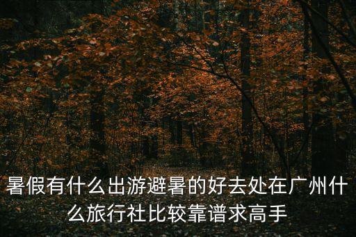 廣州玩美假期旅行社，玩美假期怎么樣