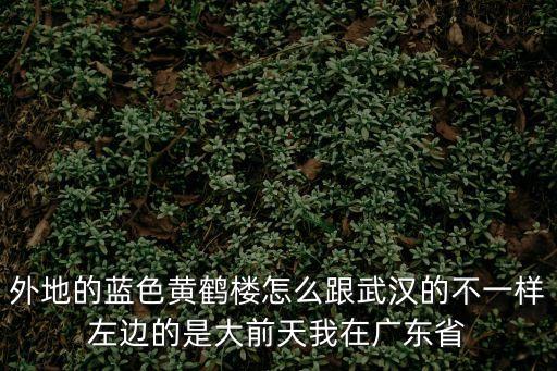 黃鶴樓 廣州專賣，這個煙是真的黃鶴樓嗎 在廣州買的