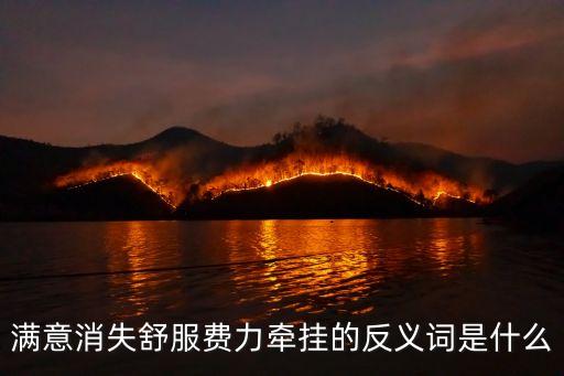 滿意消失舒服費力牽掛的反義詞是什么
