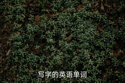 寫字英文，寫書法用英語怎說