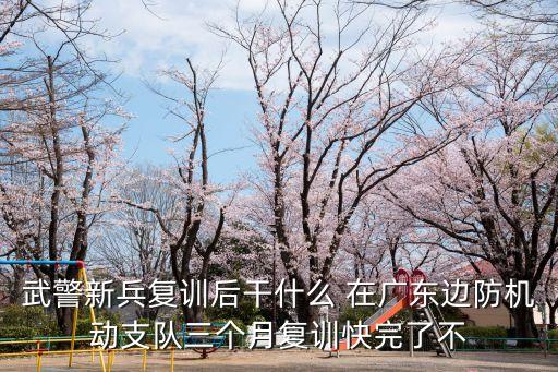 廣州武警機動隊，武警新兵復訓后干什么 在廣東邊防機動支隊三個月復訓快完了不