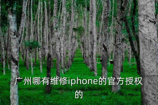 蘋果授權維修點廣州，廣州蘋果手機維修點