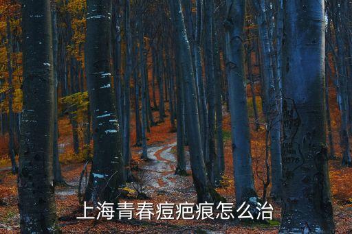 上海青春痘疤痕怎么治