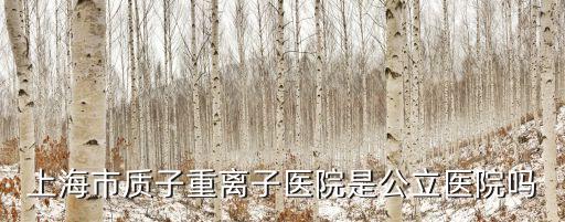 上海市質子鐘離子醫院，上海市質子重離子醫院是公立醫院嗎