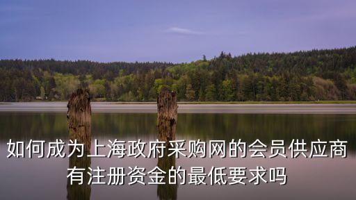 如何成為上海政府采購網的會員供應商有注冊資金的最低要求嗎