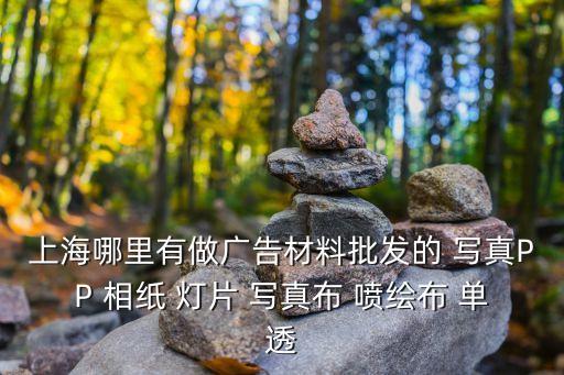 上海哪里有做廣告材料批發的 寫真PP 相紙 燈片 寫真布 噴繪布 單透