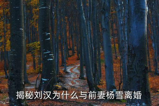 揭秘劉漢為什么與前妻楊雪離婚