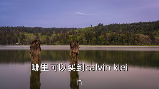 哪里可以買到calvin klein