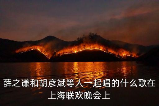 薛之謙和胡彥斌等人一起唱的什么歌在上海聯歡晚會上