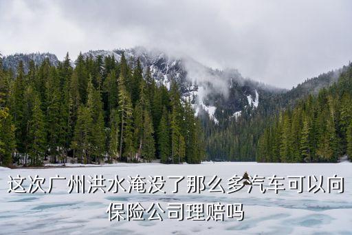 這次廣州洪水淹沒了那么多汽車可以向保險(xiǎn)公司理賠嗎