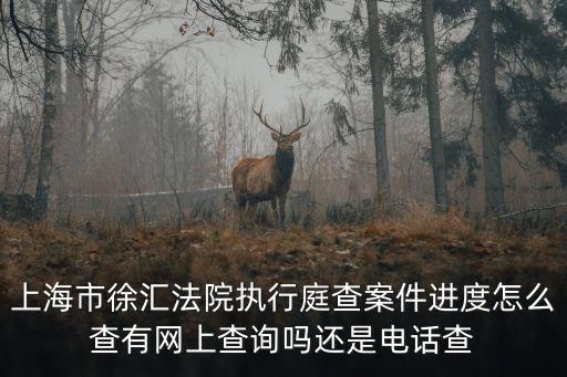 上海市徐匯法院執行庭查案件進度怎么查有網上查詢嗎還是電話查