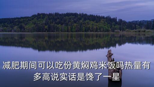 黃燜雞熱量，晚上吃了一份黃燜雞米飯跑了35公里能消耗完了嗎